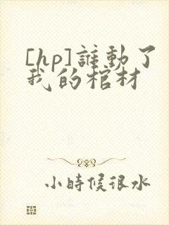 [hp]谁动了我的棺材