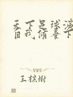 天下足球演员的自我修养下