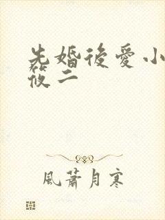 先婚后爱小说梦筱二