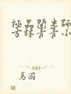 极品开光师李南方林青青小说免费阅读