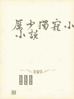 厉少独宠小娇妻 小说