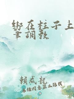 绑在柱子上用毛笔调教