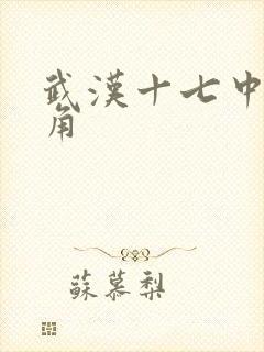 武汉十七中女主角
