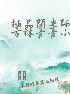 极品开光师李南方林青青小说叫