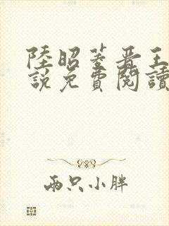 陆昭菱晋王的小说免费阅读