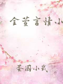 金萱言情小说
