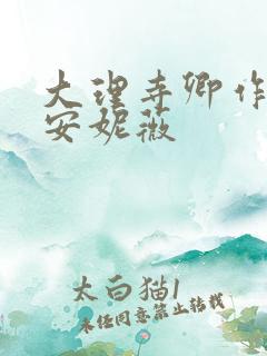 大理寺卿作者:安妮薇