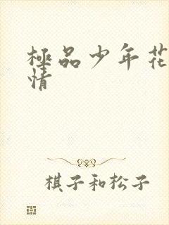 极品少年花都燃情