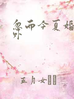 忽而今夏婚后番外
