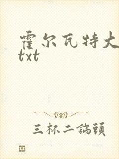 霍尔瓦特大街 txt