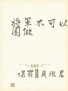 将军不可以在花园做