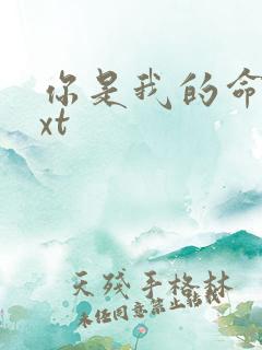 你是我的命运txt