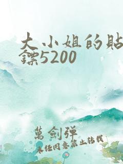 大小姐的贴身保镖5200