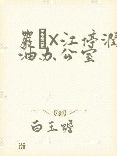 严峫X江停润滑油办公室