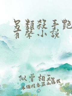 另类杀手艳福星有声小说