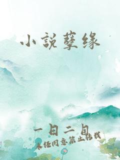 小说孽缘