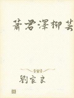 萧君泽柳芸小说