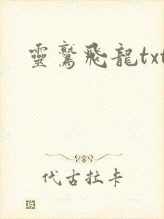 灵鹫飞龙txt