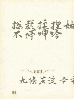 总裁揉捏她两乳不停呻吟