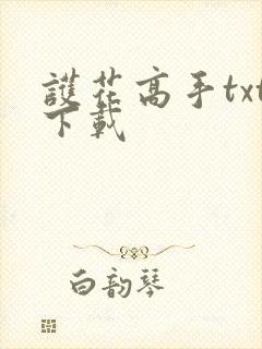 护花高手txt下载