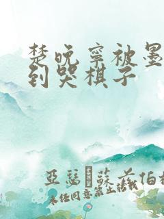 楚晚宁被墨燃做到哭棋子