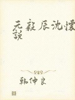 元毅辰沈怀妆小说