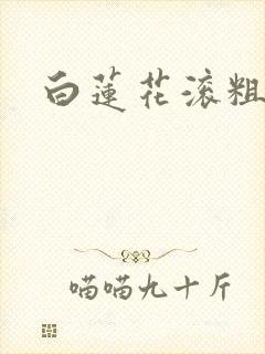 白莲花滚粗