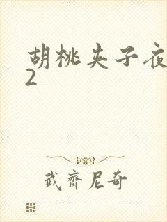 胡桃夹子夜未眠2