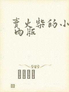 卖火柴的小男孩 肉版