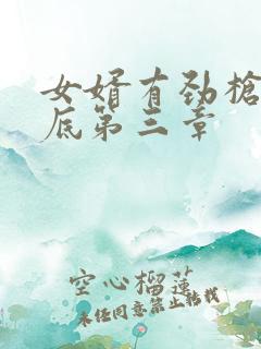 女婿有劲枪枪到底第三章