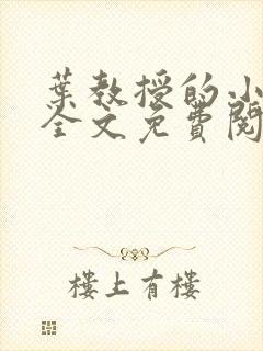 叶教授的小黏糖全文免费阅读