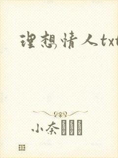 理想情人txt