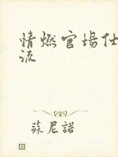 情燃官场仕途风流