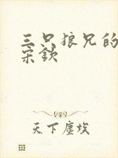 三只狼兄的宠妻宋钦