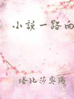 小说一路向西