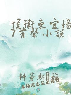 侯卫东官场笔记7有声小说