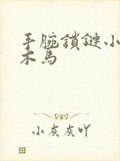 手腕锁链小黑屋木马