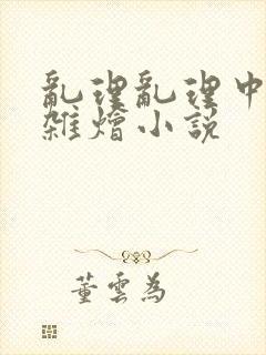 乱理乱理中文大杂烩小说