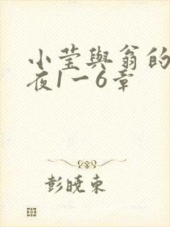 小莹与翁的销魂夜1一6章