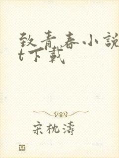 致青春小说txt下载