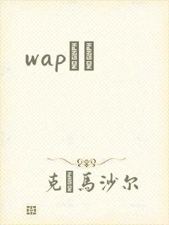 wapС˵