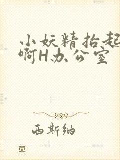 小妖精抬起臀嗯啊H办公室