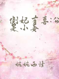 侧妃有喜:公主是小妾