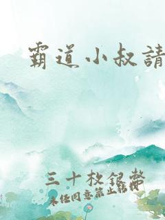 霸道小叔请轻撩