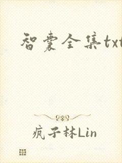 智囊全集txt