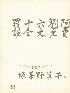 罗十六刘阿婆小说全文免费阅读