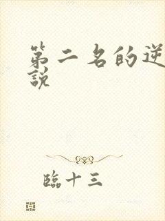 第二名的逆袭小说