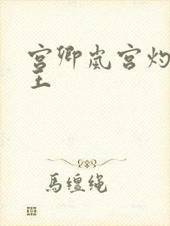 宫卿岚宫灼摄政王