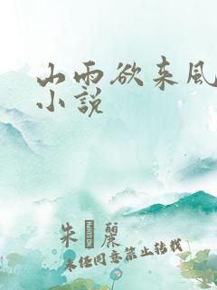 山雨欲来风满楼小说