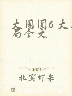 大团圆6 大结局全文